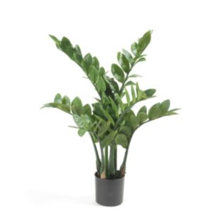 Emerald kunsttaim Zamioculcas 70 cm 