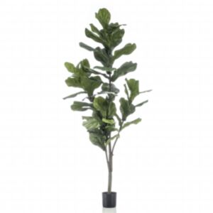Emerald kunsttaim lüüra-viigipuu, 160 cm 