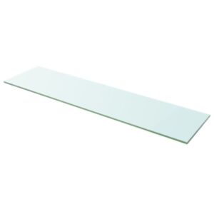 U24i stikla plauktu plāksne 100 x 25 cm caurspīdīga