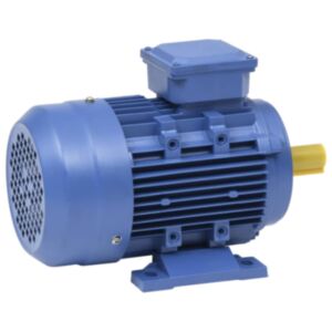 U24 trīsfāzu elektromotors 3 kW / 4 zs 2 stabi 2840 apgr./min
