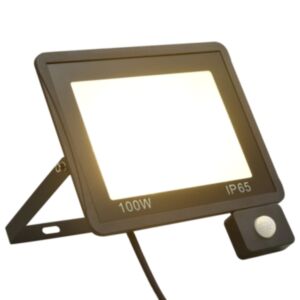 Pood24 anduriga LED prožektor, 100 W, soe valge