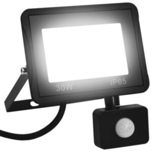 LED prožektors ar P2424 sensoru, 30 W, auksti balts