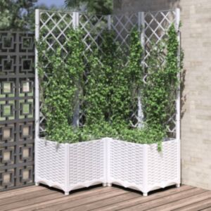 Pood24 võrega taimekast, valge, 80 x 80 x 136 cm PP
