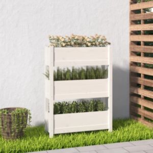 Pood24 taimekast, valge, 77 x 25 x 104,5 cm, männipuit