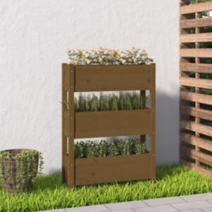 Pood24 taimekast, meepruun, 77 x 25 x 104,5 cm, männipuit