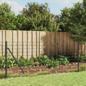 Pood24 traataed, antratsiithall, 0,8x10 m, tsingitud teras