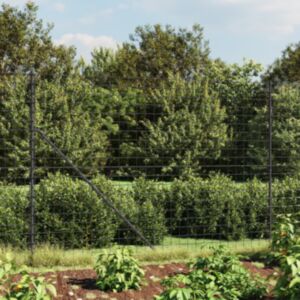 Pood24 traataed, antratsiithall, 1,8x10 m, tsingitud teras