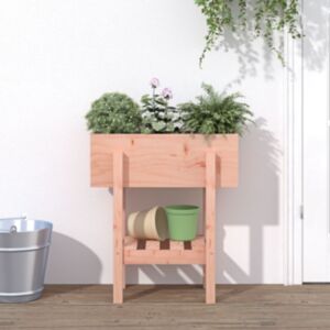 Pood24 aia taimekast, 62 x 30 x 69 cm, ebatsuuga puit