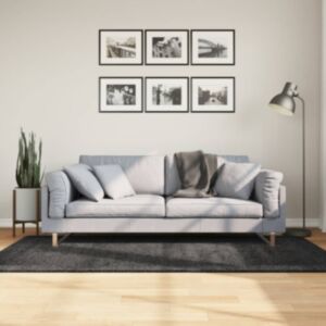 Pood24 kõrge narmaga Shaggy vaip, antratsiithall, 100x200 cm