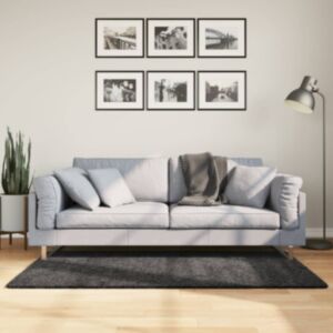 Pood24 kõrge narmaga Shaggy vaip, antratsiithall, 120x170 cm