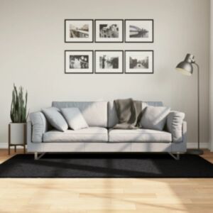 Pood24 kõrge narmaga Shaggy vaip, must, 100x200 cm