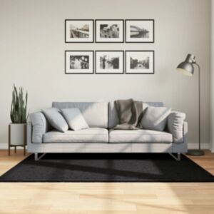 Pood24 kõrge narmaga Shaggy vaip, must, 120x170 cm