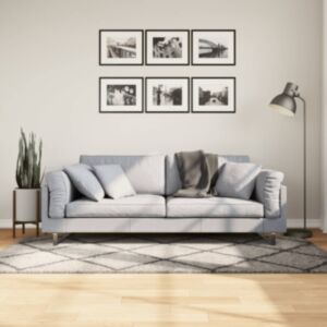 Pood24 kõrge narmaga Shaggy vaip, beež ja antratsiithall, 100x200 cm