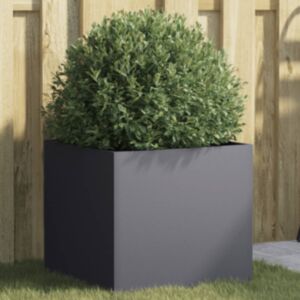 Pood24 taimekast antratsiithall 42x40x39 cm, külmvaltsitud teras