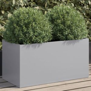 Pood24 taimekastid hõbedane 62x30x29 cm tsingitud teras