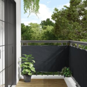 Pood24 aia privaatsuskate, antratsiithall, 300 x 75 cm, PVC