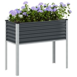 Pood24 aia taimekast, antratsiithall, 100x41x90 cm, teras