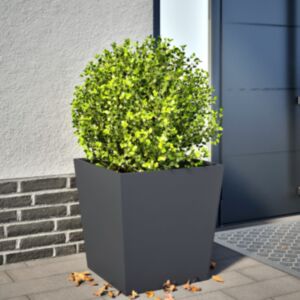 Pood24 aia taimekast, antratsiithall, 50 x 50 x 50 cm, teras