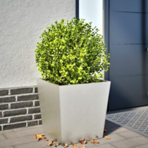 Pood24 aia taimekast, 50x50x50 cm roostevaba teras