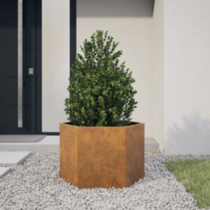 Pood24 kuusnurkne aia taimekast, 69x60x45 cm, Corten teras