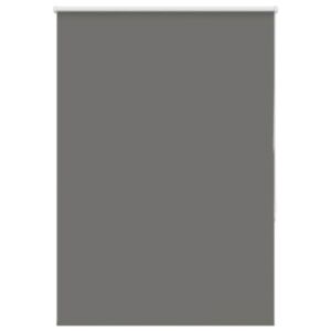 Pood24 Ruloo pimendav hall 100x175 cm Kanga laius 95,7 cm polüester