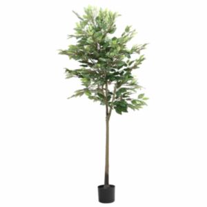 Pood24 kunstlik fikusspuu 756 lehed 170 cm rohelised