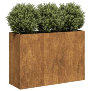 Pood24 taimekast, rooste, 120x40x80 cm, ilmastikukindel teras