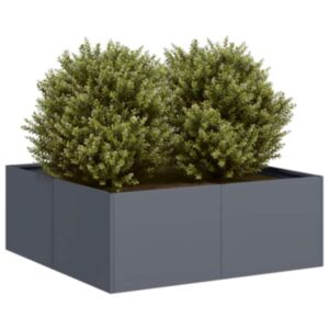 Pood24 taimekast antratsiithall 80x80x30 cm, teras